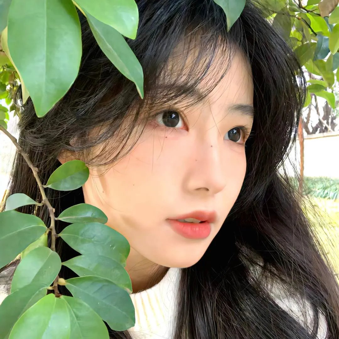 大麻疯狂物语